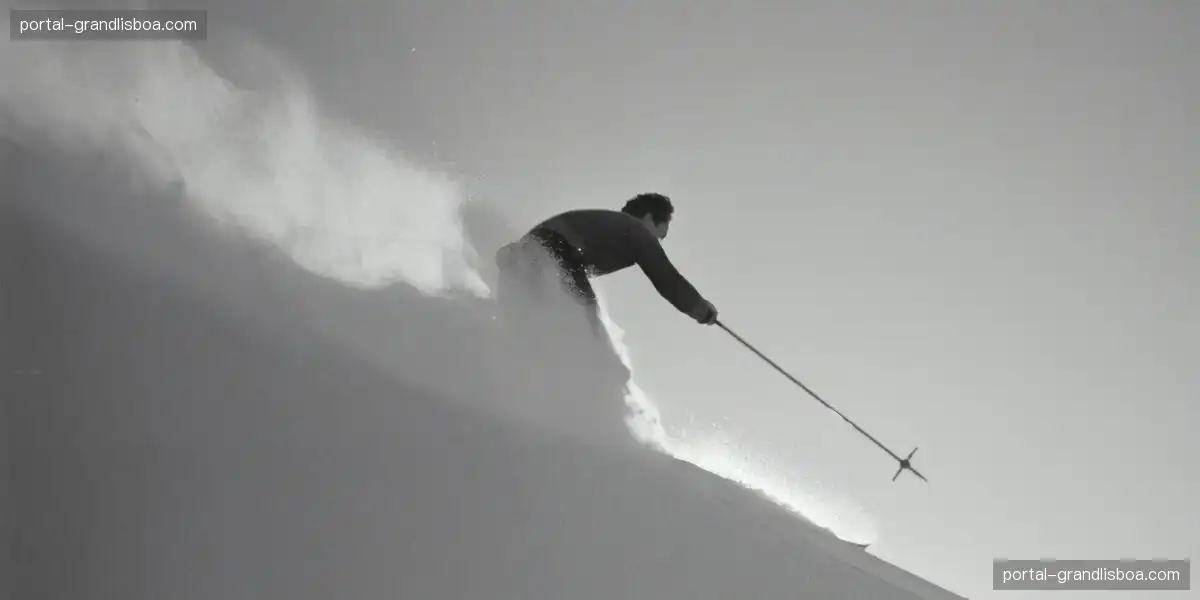 专业数据解读 优化体育合作模式